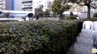 亚洲电影 国产一区|亚洲精品99久久久久中文字幕